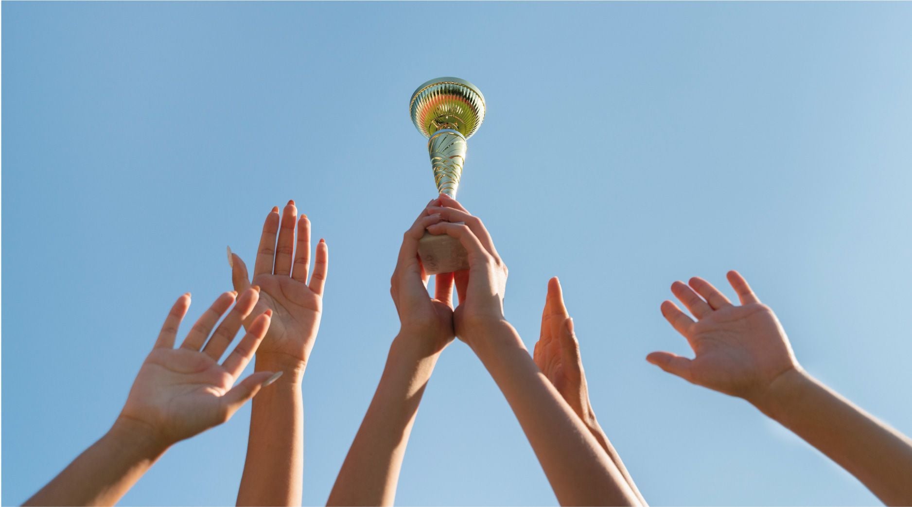 Why we love to build the best software development teams